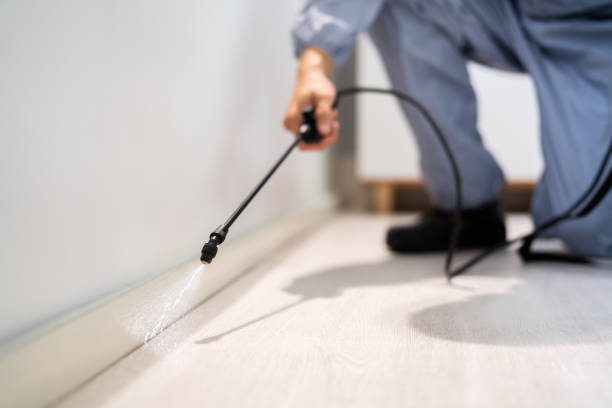 Licensed Termite Control service in Chattanooga, TN - Nex Pest Control
