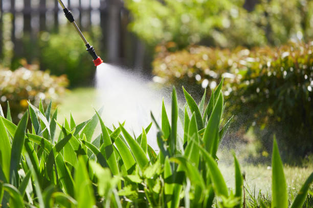 24/7 Emergency Termite Control experts in Chattanooga, TN