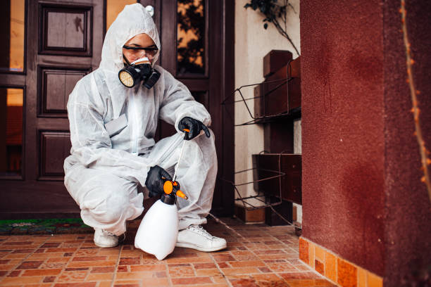 Reliable Termite Control contractor in Chattanooga, TN by Nex Pest Control