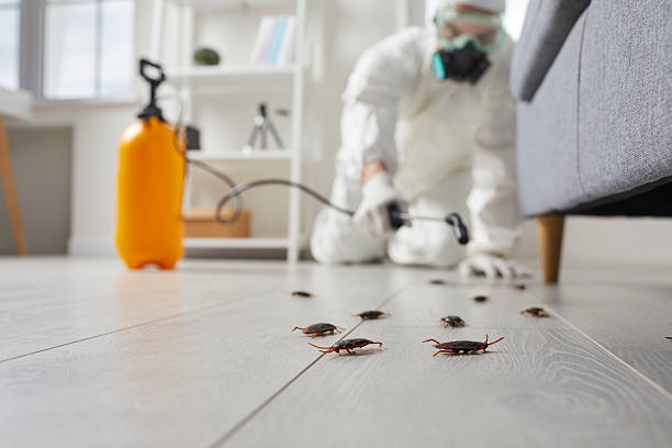 Trusted Fumigation Services service in Chattanooga, TN - Nex Pest Control