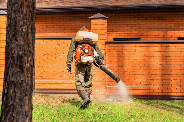 Trusted Rodent Control service in Chattanooga, TN - Nex Pest Control